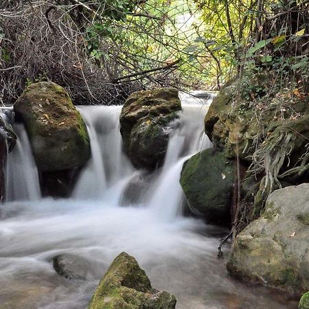 Pensjonat Casa La Rosa P.N. Sierra de Grazalema Benamahoma Zewnętrze zdjęcie