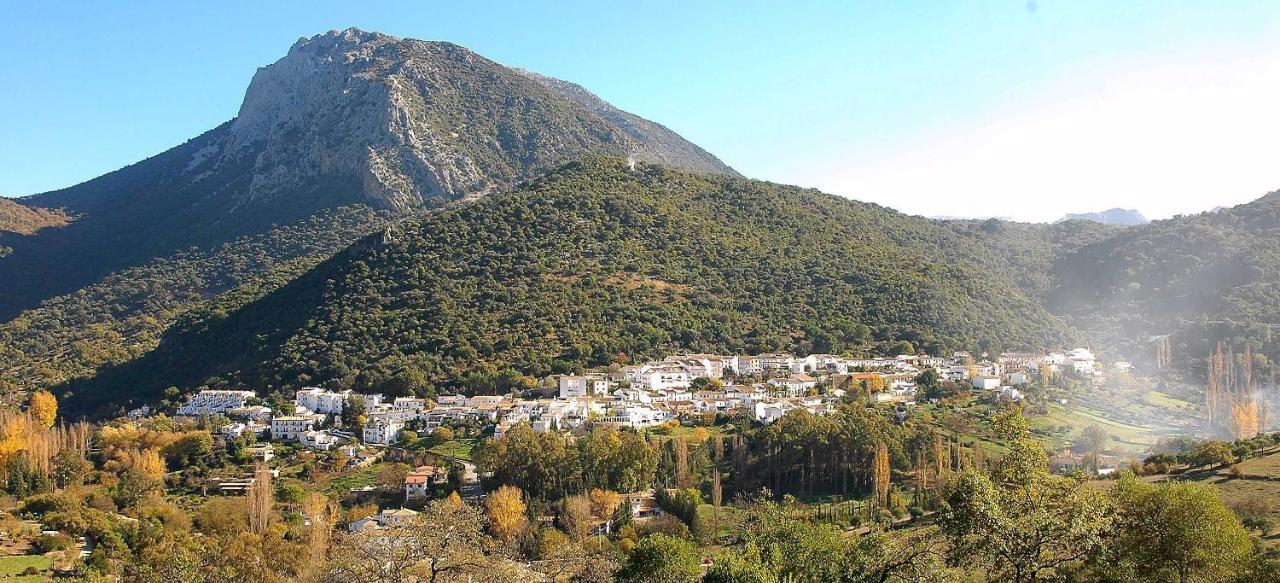 Pensjonat Casa La Rosa P.N. Sierra de Grazalema Benamahoma Zewnętrze zdjęcie